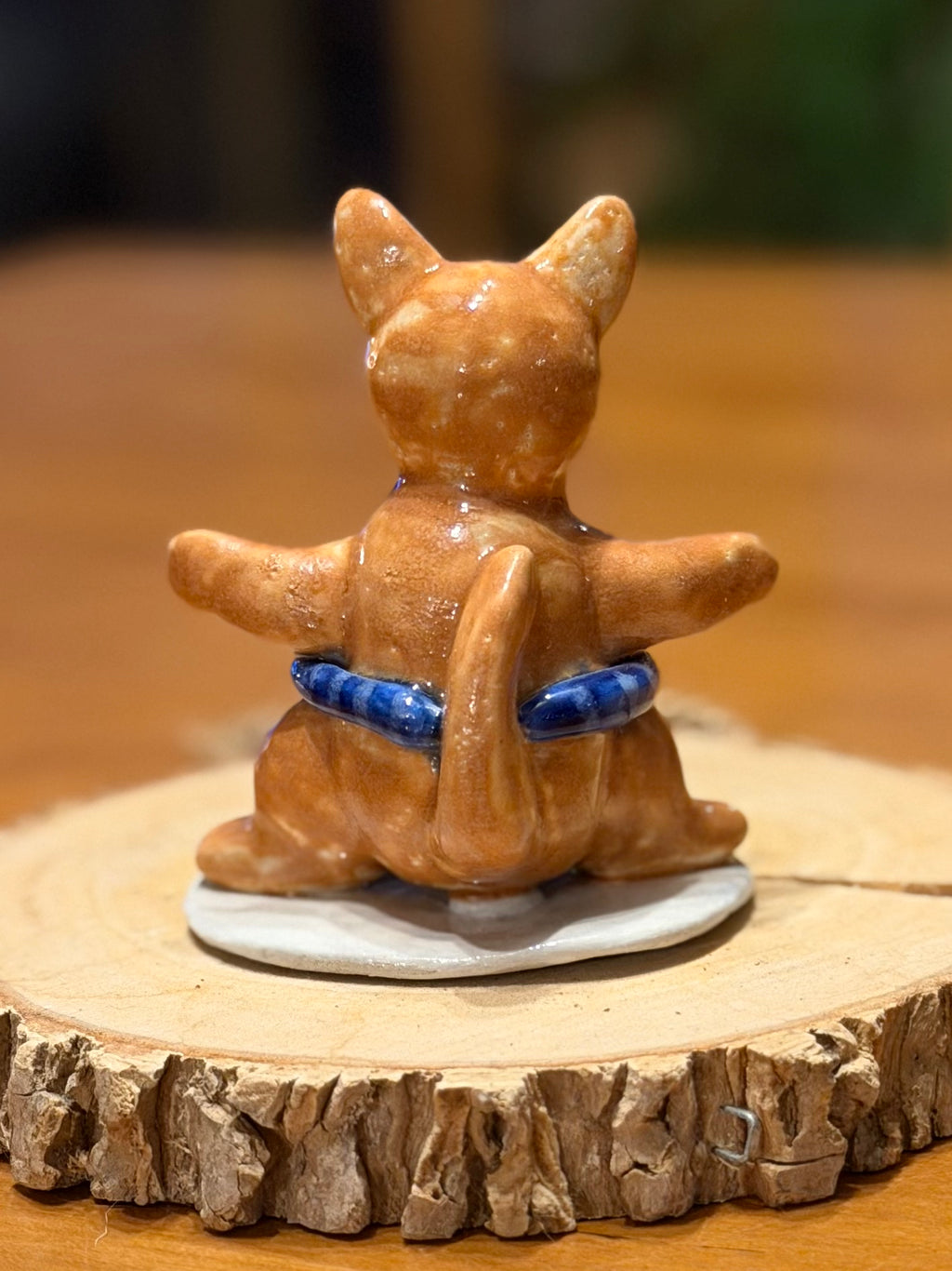Sumo Cat - Makoto