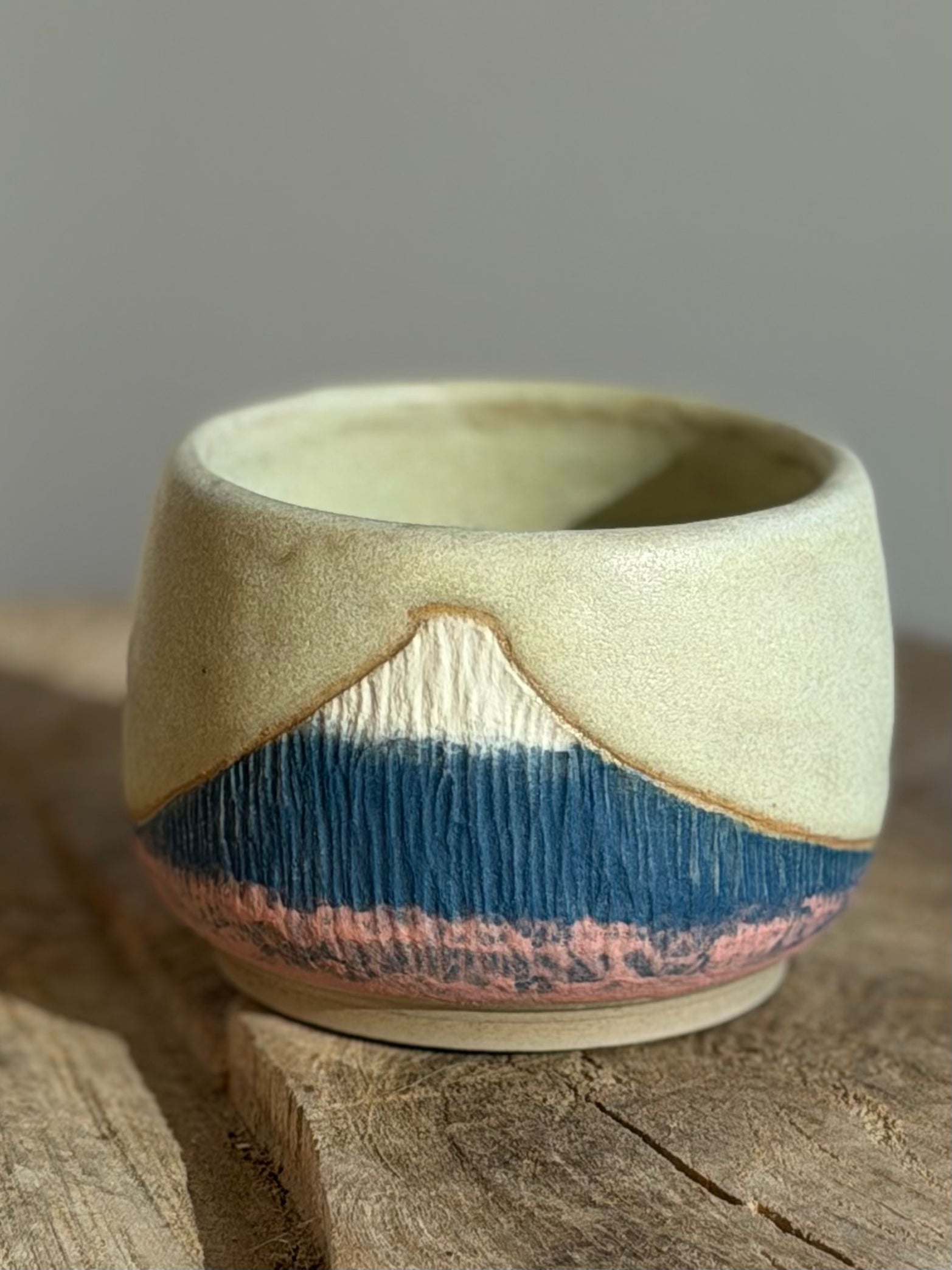 Mt. Fuji cup - spring