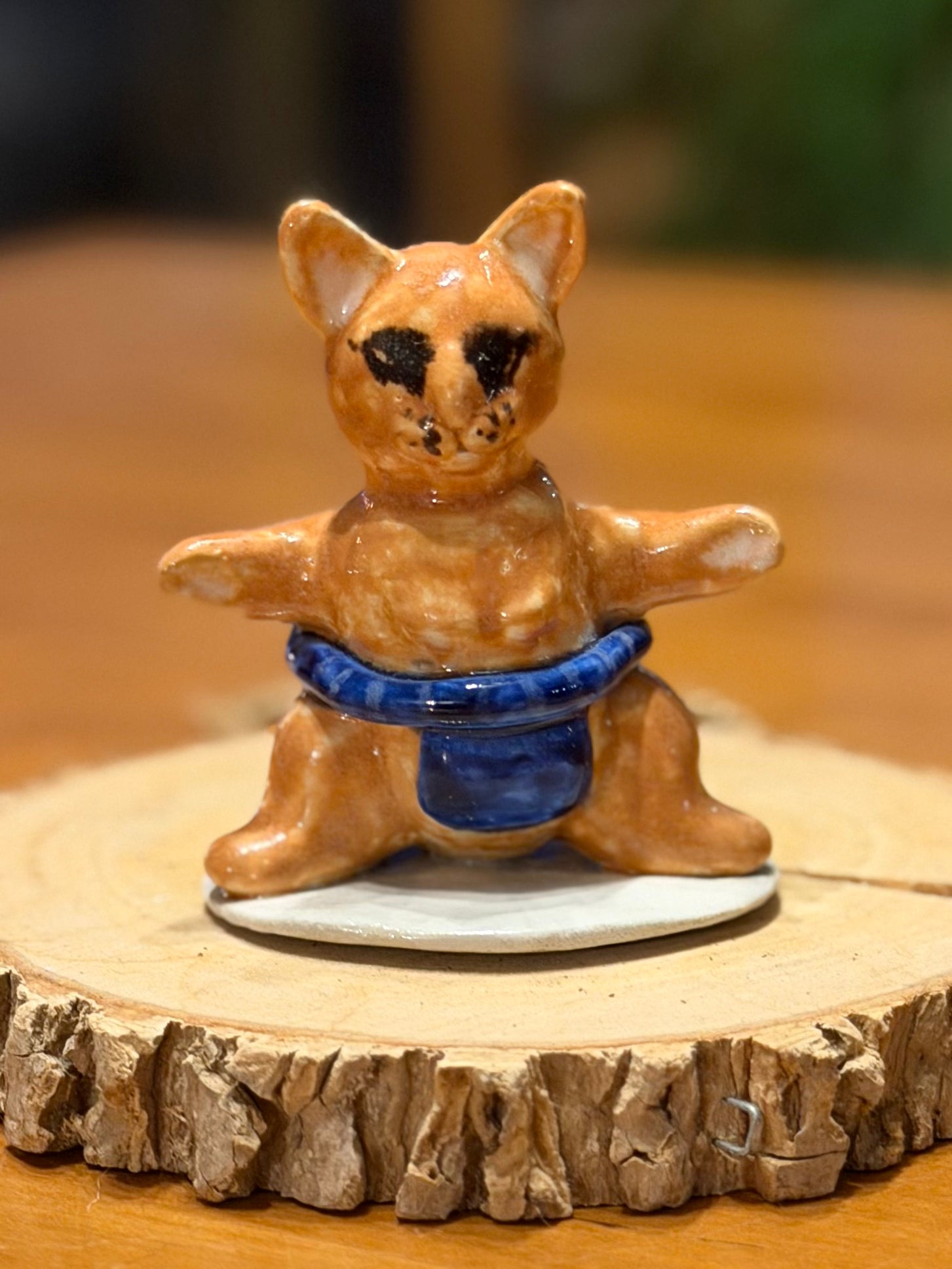 Sumo Cat - Makoto